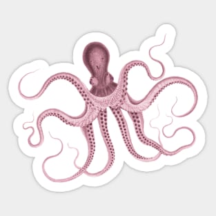 Pink octopus Sticker